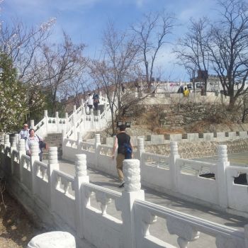 20140330_110541.jpg
