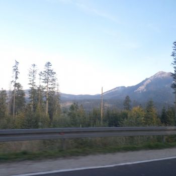 SAM_2700.jpg