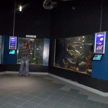 SAM_1125.jpg