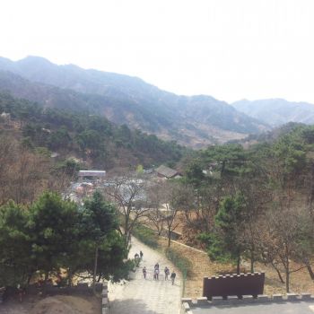 20140330_105753.jpg