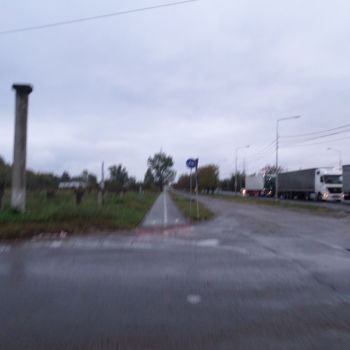 SAM_2091.jpg