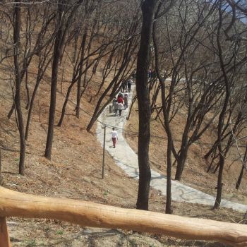 20140330_114154.jpg