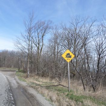 2018-04-30-21-29-09.jpg