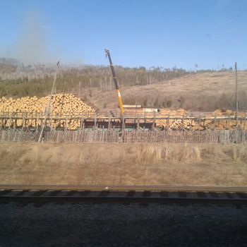 20140326_094730.jpg