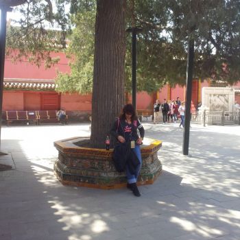20140329_112109-1.jpg