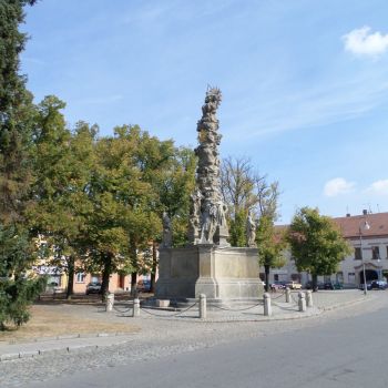 SAM_1946.jpg