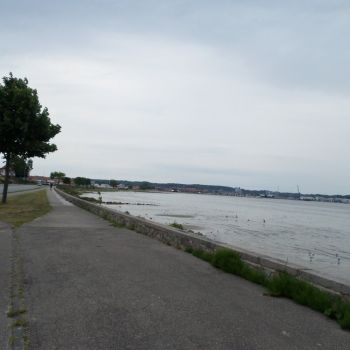 SAM_1265.jpg