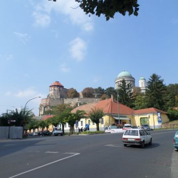 SAM_2009.jpg