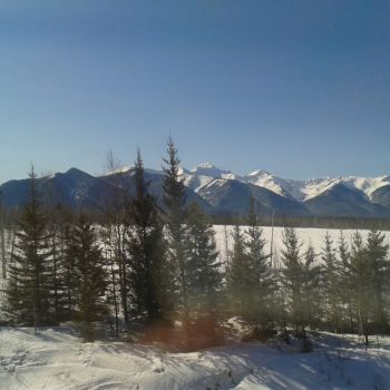 20140326_031541.jpg