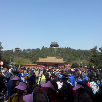 20140329_121944.jpg