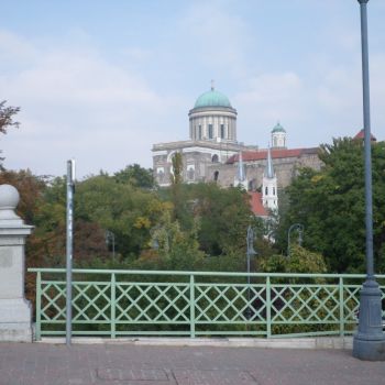 SAM_2005.jpg