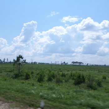2017-07-03-21-12-32.jpg