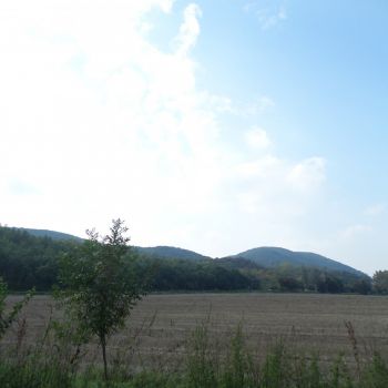 SAM_2013.jpg